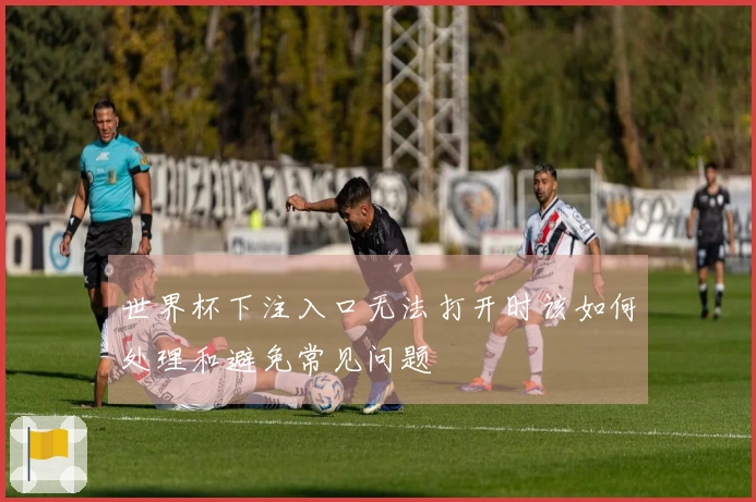 世界杯下注入口无法打开时该如何处理和避免常见问题